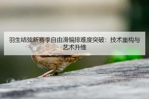 yu-sheng-jie-xian-xin-sai-ji-zi-you-hua-bian-pai-nan-du-tu-po-ji-shu-zhong-gou-yu-yi-shu-sheng-wei-2-478.jpg