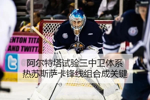 a-er-te-ta-shi-yan-san-zhong-wei-ti-xi-re-su-si-sa-ka-feng-xian-zu-he-cheng-guan-jian-3-600.jpg